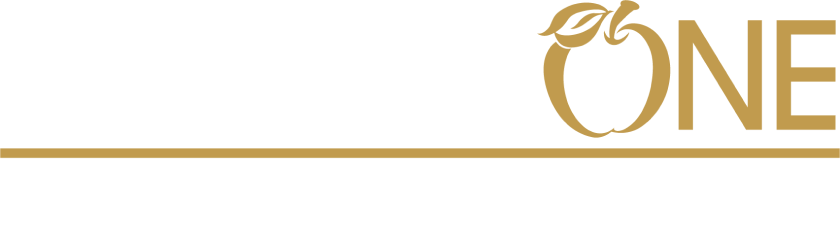 Newton One Logo